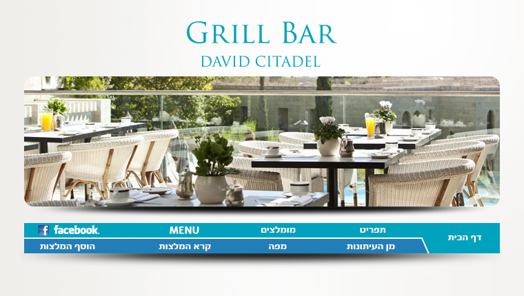 גריל בר מצודת דוד